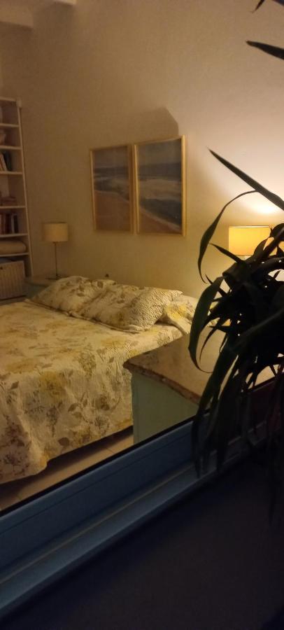 La Biblioteca Apartment Olavarria Luaran gambar